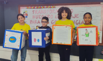 Proyectos Pedagógicos