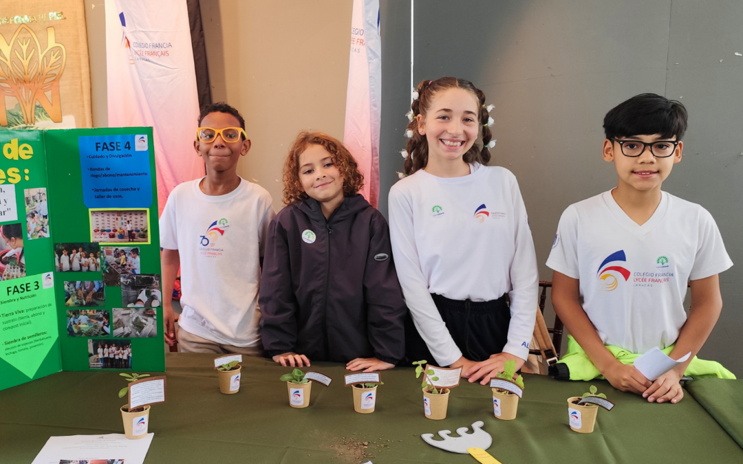 Proyecto ecológico TopoDesafío