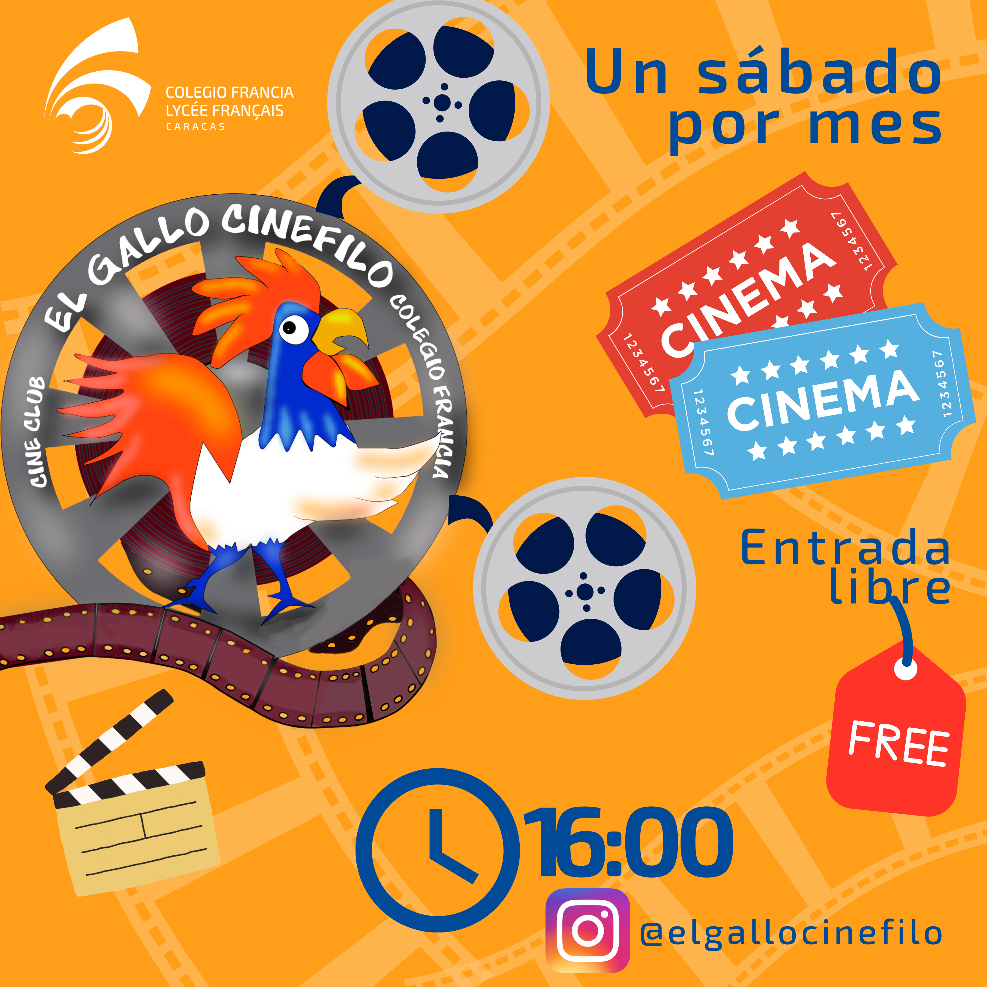 Le cinéma : Gallo Cinefilo